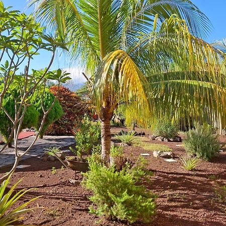 Hotel Jardin Garden De Granada Nicaragua Zewnętrze zdjęcie