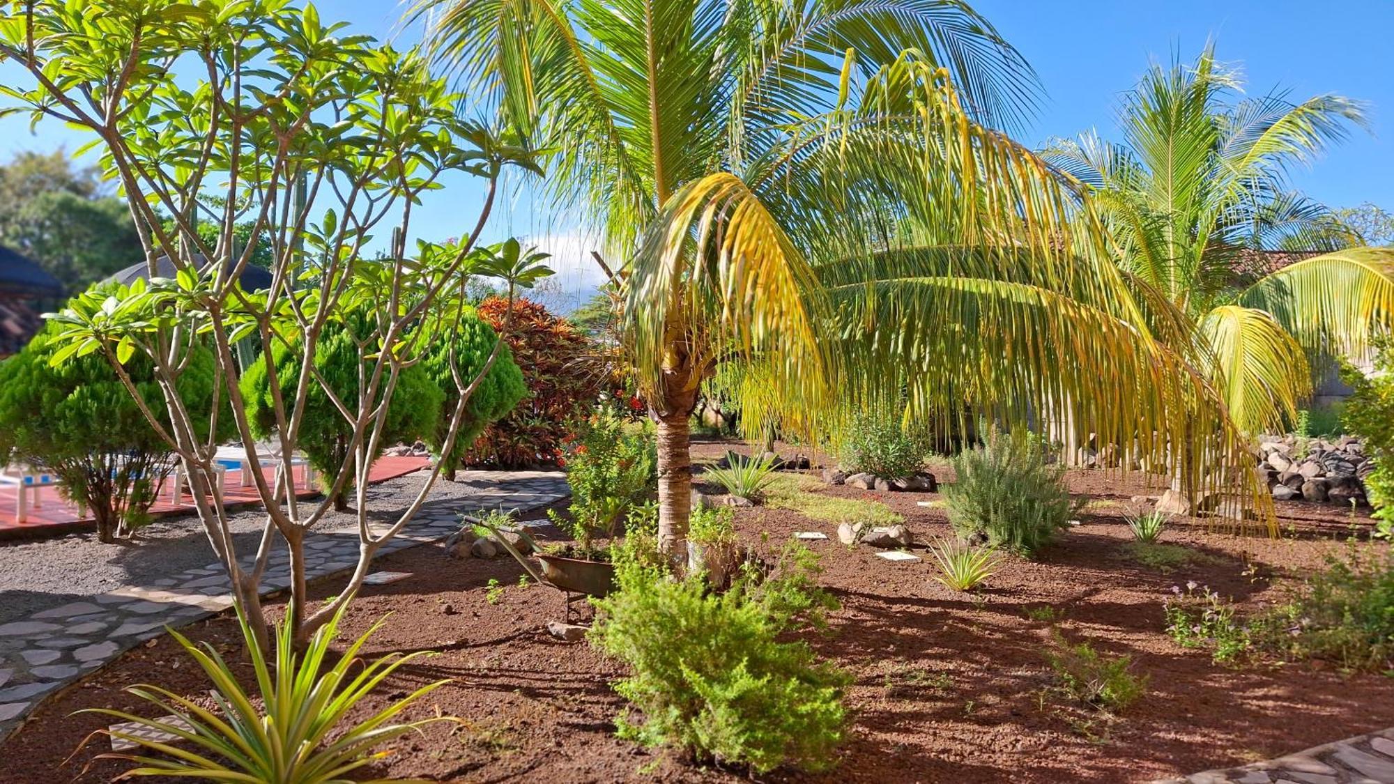 Hotel Jardin Garden De Granada Nicaragua Zewnętrze zdjęcie