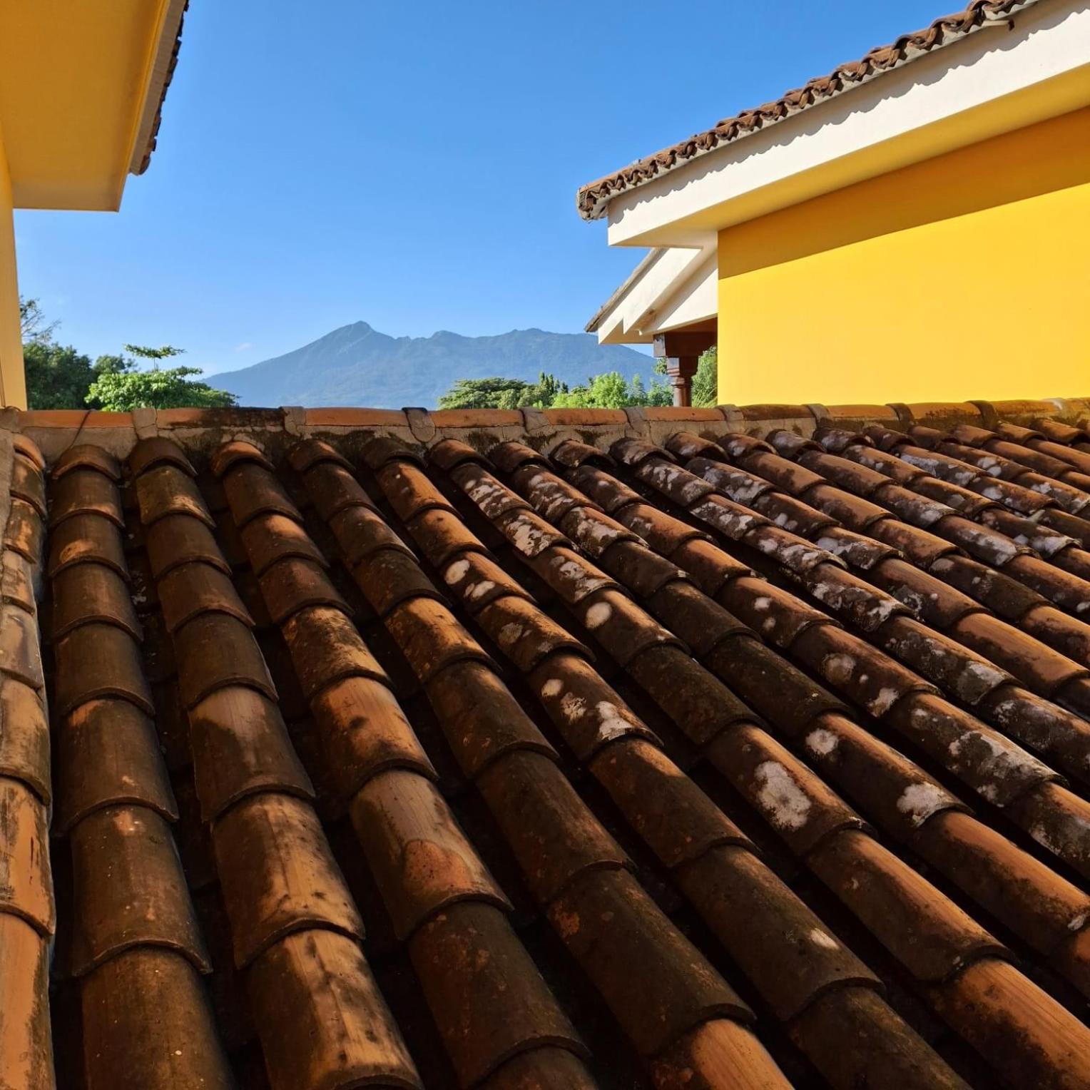 Hotel Jardin Garden De Granada Nicaragua Zewnętrze zdjęcie