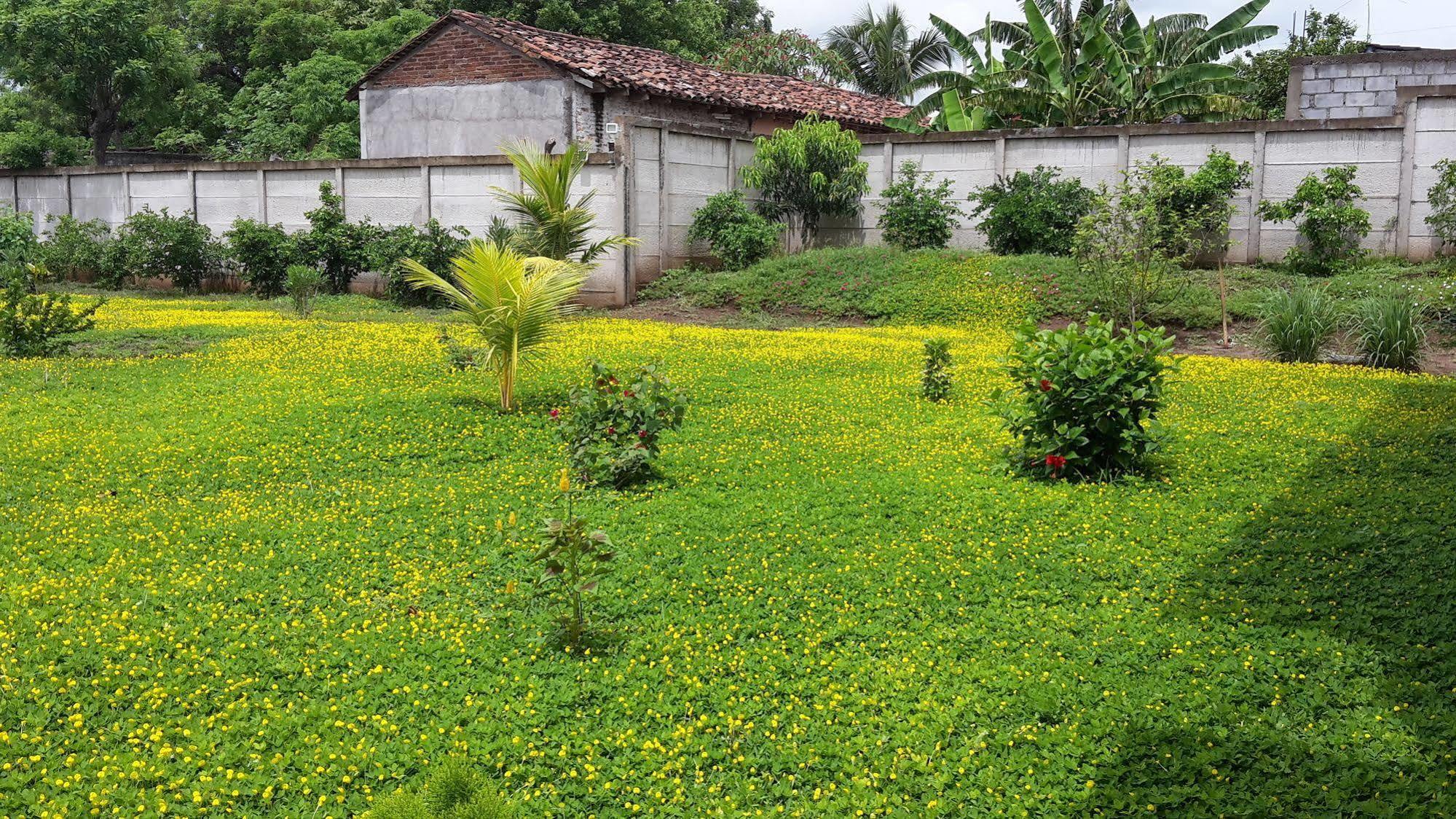 Hotel Jardin Garden De Granada Nicaragua Zewnętrze zdjęcie